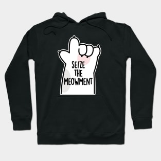 Seize The Meowment Positive Cat Pun Hoodie